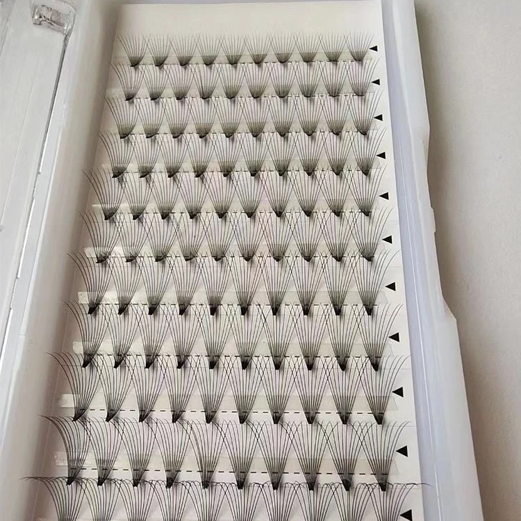 10D volume lash 