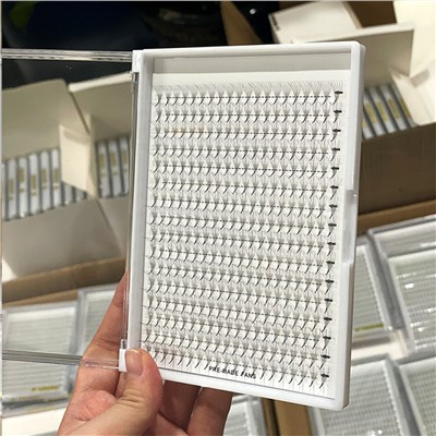 Navijači Lash Plade