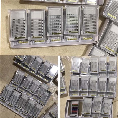 Naročilo navijačev predhodnih trepalnic